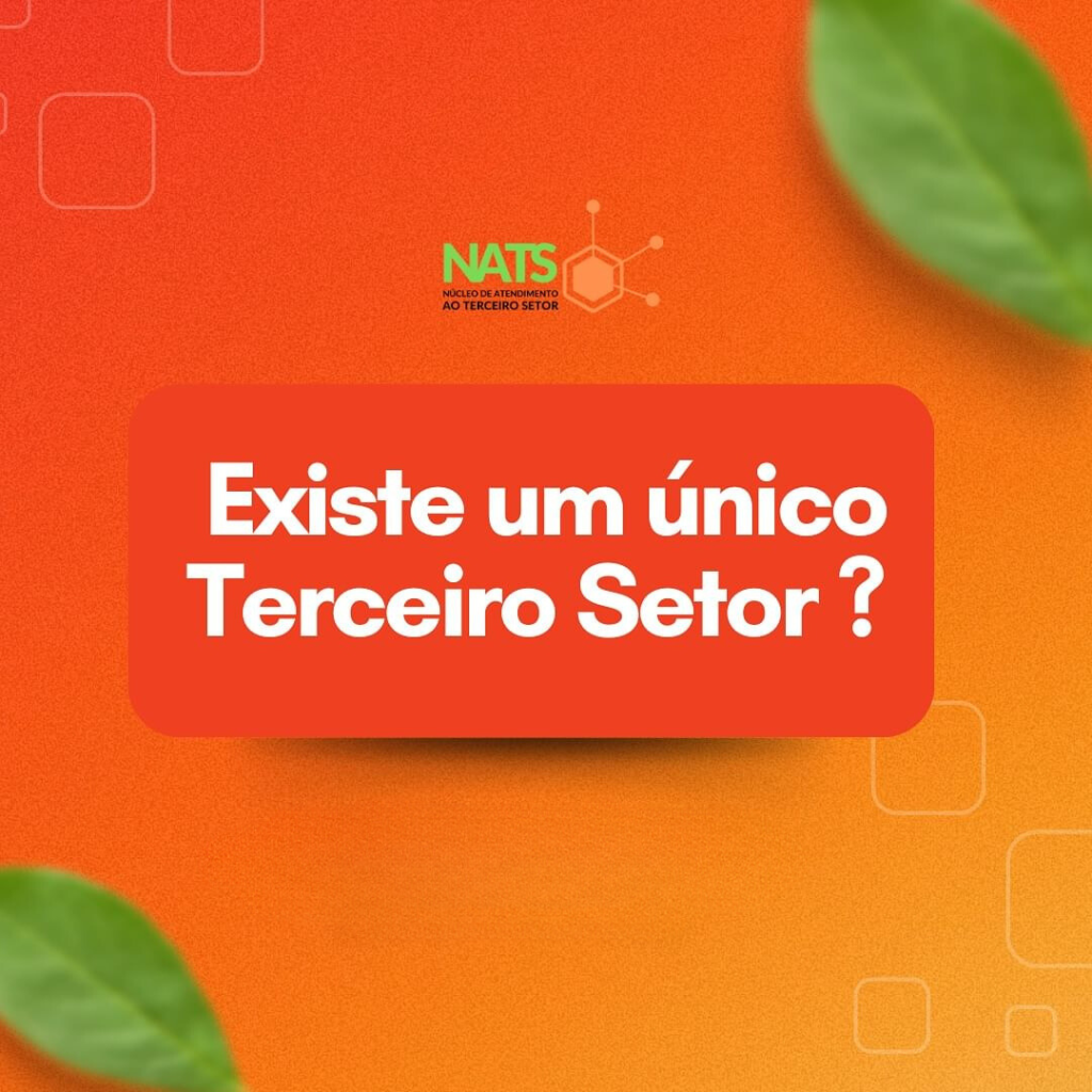 A diversidade e os desafios do terceiro setor na busca por impacto social